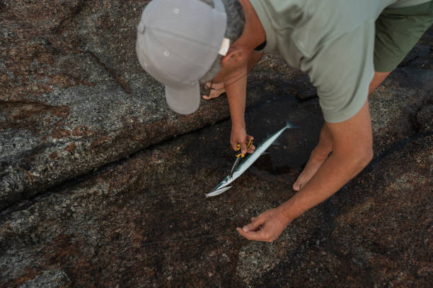 istock Senior fisherman releases his catch 1471589490