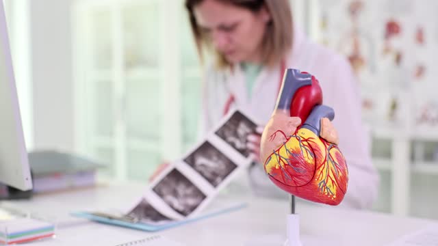 Cardiologist examines ultrasound scan of patient heart and checks health and medical consultation