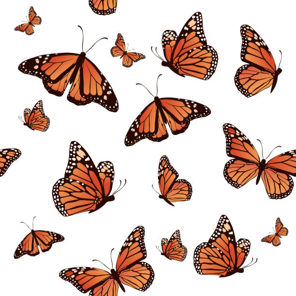 ilustrações, clipart, desenhos animados e ícones de projeto de ilustração vetorial de borboleta de padrão sem costura realista - butterfly