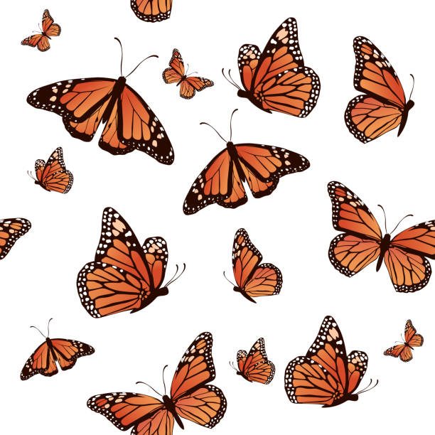 bildbanksillustrationer, clip art samt tecknat material och ikoner med realistic seamless pattern butterfly vector illustration design - fjäril