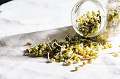 Mung bean sprouts.
