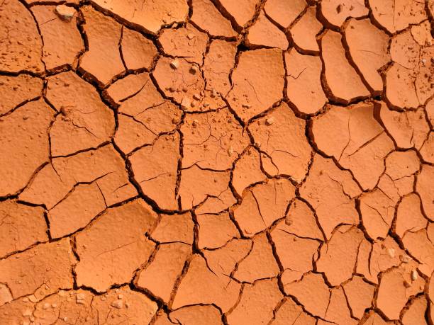 istock Wet Cracked ground at rainy season 1471593681