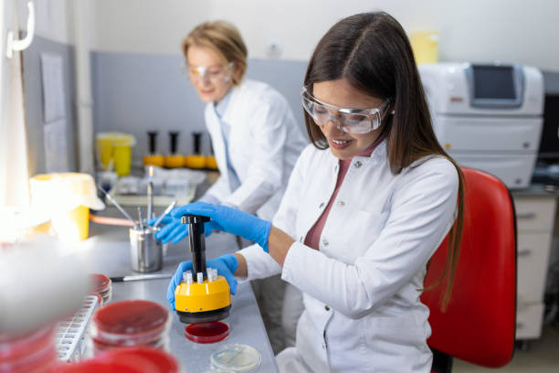 Antimicrobial Lab 420+ Antimicrobial Susceptibility Testing Stock Photos, Pictures ...