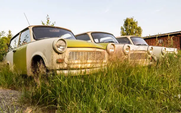 Old Trabant in a meadow