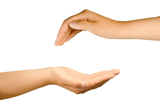 istock Women's graceful hands. Hand over hand to present your product. 1471597599