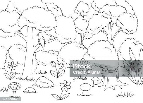 istock Forest coloring graphic black white landscape sketch illustration vector 1471598620