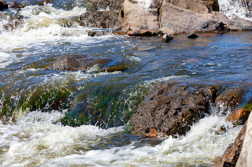 The rapid flow of a mountain river through stone rapids and foaming waters. Selective focus, blurred background.