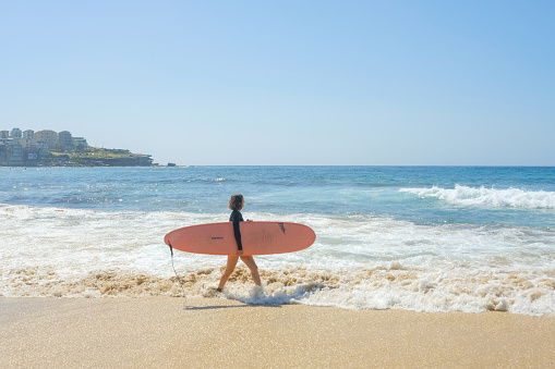 A young woman carries a pastel pink surfboard into the water at Bondi Beach, Sydney — North Bondi headland in the distance, clear blue skies and foamy waves, calm waters, early morning
