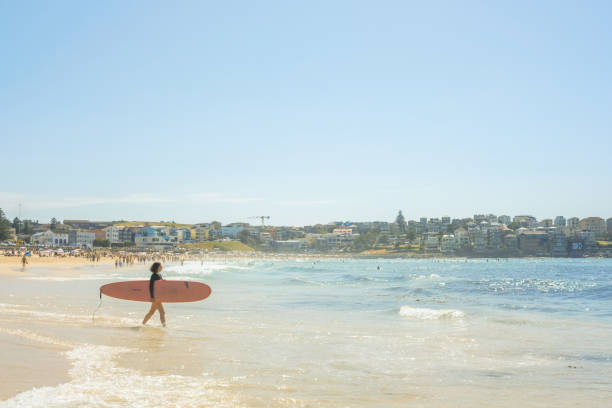 surfista com prancha rosa indo para a água em uma manhã ensolarada - bondi beach; sydney, nova gales do sul, austrália - full length one person action australian culture - fotografias e filmes do acervo