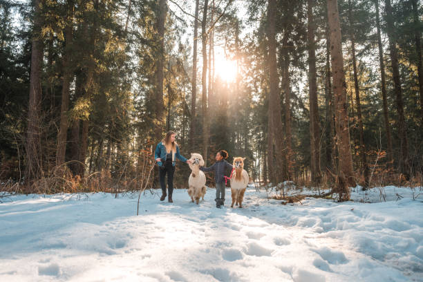 istock Single Mother Walking with Young Daughter at Midday 1471601583