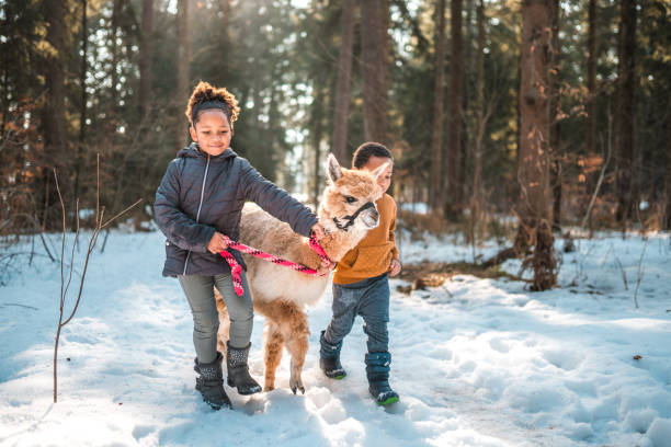 istock Winter Landscape, Mixed Race Siblings in the Forest 1471601584