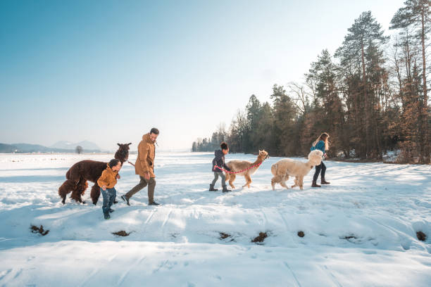 istock Winter Magic, Active Family Enjoys Snowy Day 1471601602