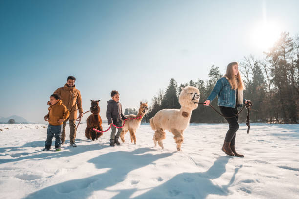 istock Mixed Race Family Explores the Winter with Pets 1471601608