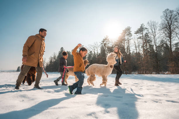 istock Family Outing in the Snow 1471601613