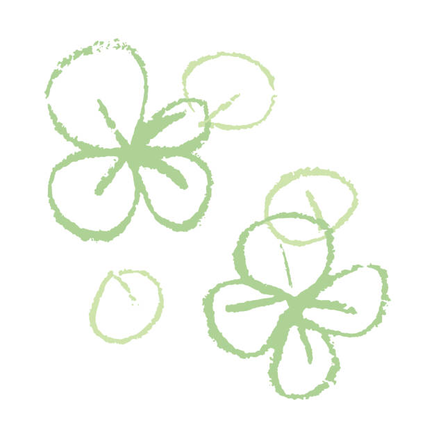 100+ How To Draw A Three Leaf Clover Drawing Stock Illustrations