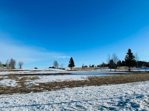 istock Winter landscape of north Sweden 1471608005