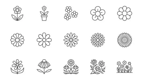 Vector illustration of Chamomile line icons set. Daisy flower, echinacea vector illustration. Outline signs for camomile tea. Editable Stroke