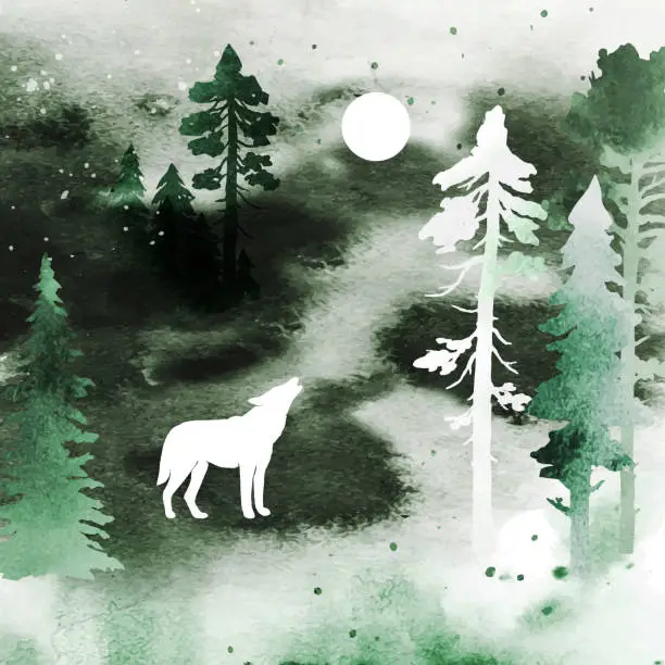 Vector illustration of Watercolor magic vector landscape isolated on white dackground. Vector silhouette of wolf howling at the full moon. Forest and animal under night sky