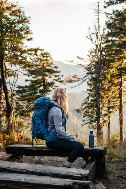 istock Hiker relaxing during hiking in mountains 1471621439