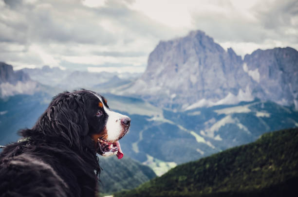 istock Spirit of the mountains 1471625563
