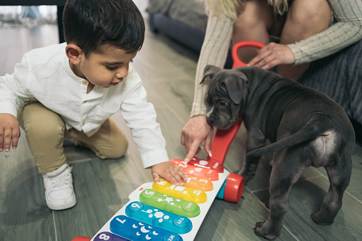 Little boy with special needs because he has a disability kneeling down playing and playing with his car with colorful musical keys while his dog watches him.