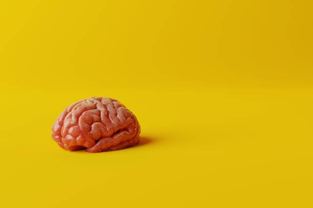 istock Brain on a yellow background. Medical concept, brain diseases, mental problems. 1471628332