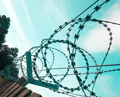 This razorwire is on top of a wooden fence , with a blue sky background. Sending a strong signal of low tech security.