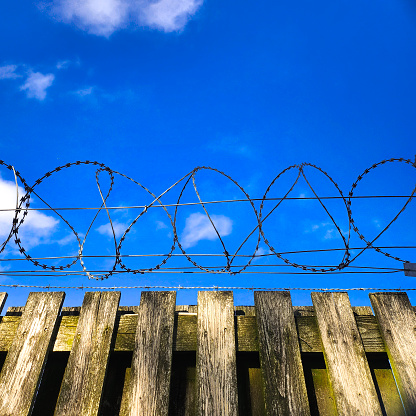 This razorwire is on top of a wooden fence , with a blue sky background. Sending a strong signal of low tech security.