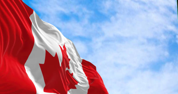 istock Canada national flag waving in the wind on a clear day 1471632327