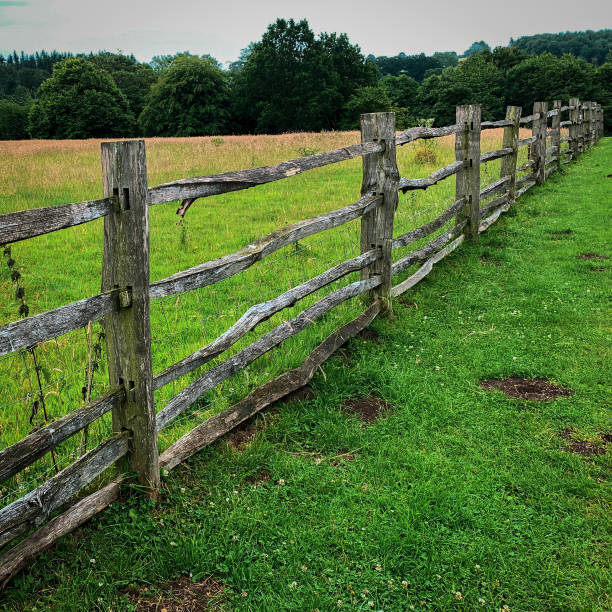 istock Post and rail fence 1471643338