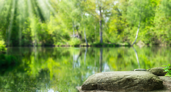 beautiful idyllic green forest lake landscape with space for product presentation on a rock, summertime nature scene background concept, natural product display