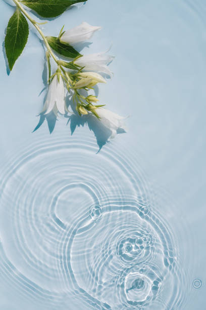 istock Background with transparent blue water texture with ripples and flowers 1471651082