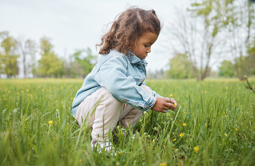 Grass, flowers and children with a girl in the park alone during summer or spring in nature with mockup. Field, green and kids with a female child picking a dandelion flower in a garden outdoor