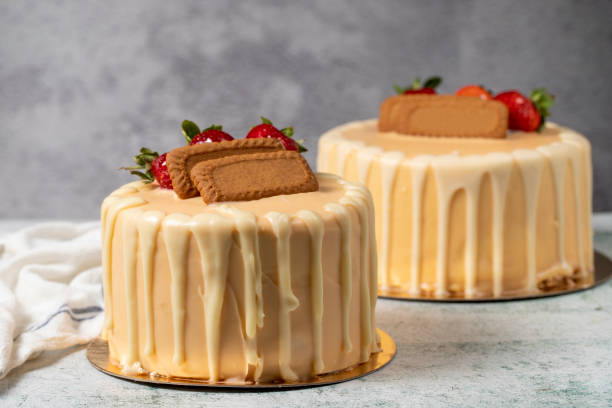 Strawberry, biscuit and white chocolate birthday cake. Chocolate birthday cake with chocolate ganache drip icing stock photo