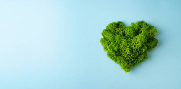 world earth day concept with green plant heart on blue background, - bright new life earth globe imagens e fotografias de stock