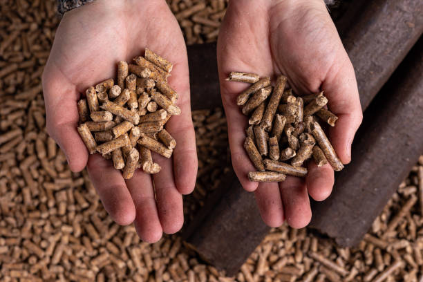 istock Production of wood pellets. 1471656872