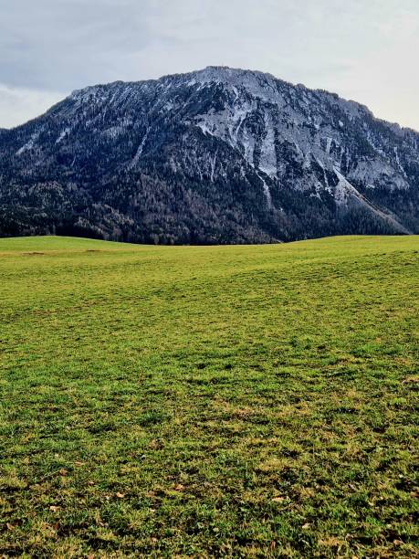 istock mountain Rauschberg in Ruhpolding 1471656945