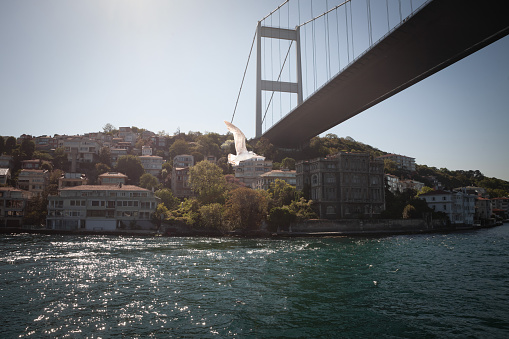 Picture of the Istanbul second Bosphorus bridge seen from below during a sunny afternoon. The Fatih Sultan Mehmet Bridge (\