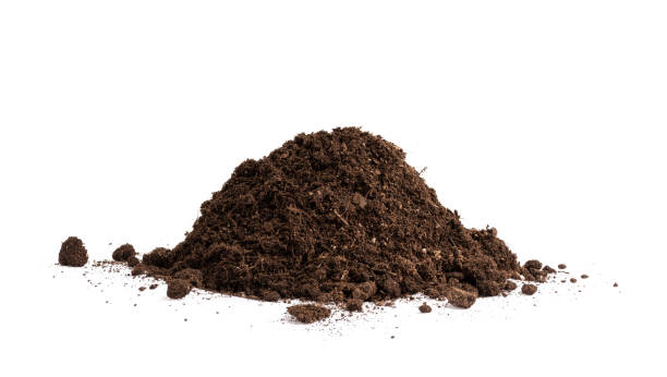 Mound of soil isolated on white background Pile of light-weight and nutrient potting mix substrate for success plants growing Peat stock pictures, royalty-free photos & images