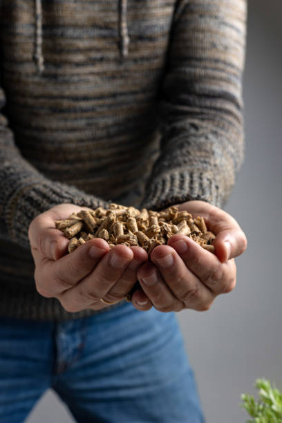 istock Production of wood pellets. 1471657740