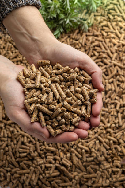 istock Production of wood pellets. 1471657744