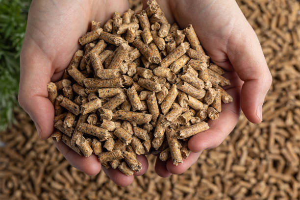 istock Production of wood pellets. 1471657746