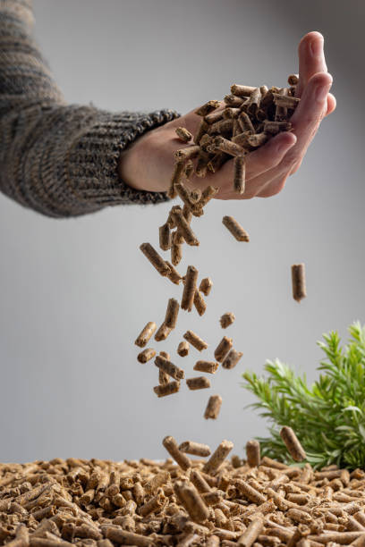 Production of wood pellets.