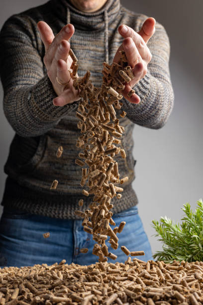 istock Production of wood pellets. 1471657782