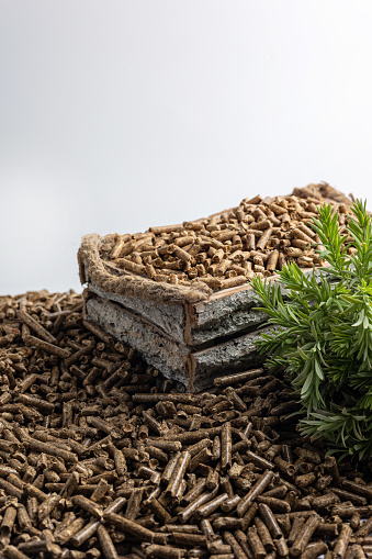 Production of wood pellets. A type of wood fuel. Used in boilers of central heating systems