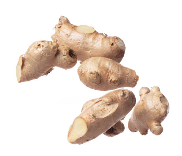 istock Ginger fall fly in mid air, fresh vegetable spice ginger falling. Organic fresh herbal ginger root head cut chop slice, close up texture. White background isolated freeze motion high speed shutter 1471659284