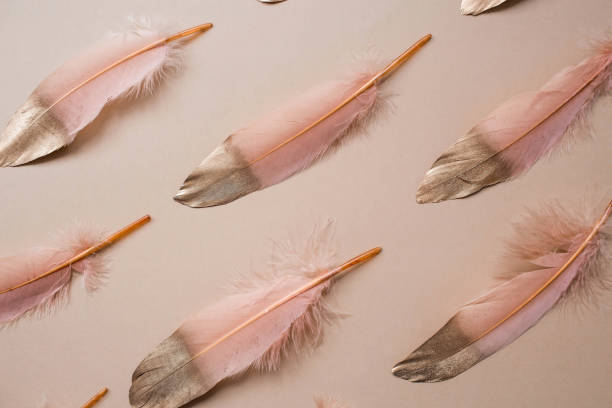 istock Delicate beige - gold feather. A pattern with golden feathers on a light beige background. View from above. Flat. 1471659842