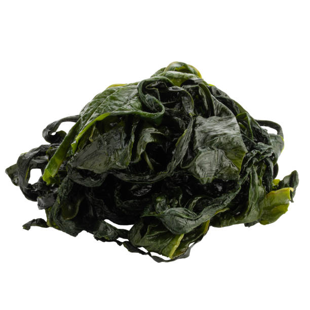 istock Kombu kelp is a large brown algae seaweed isolated on a white background 1471662162