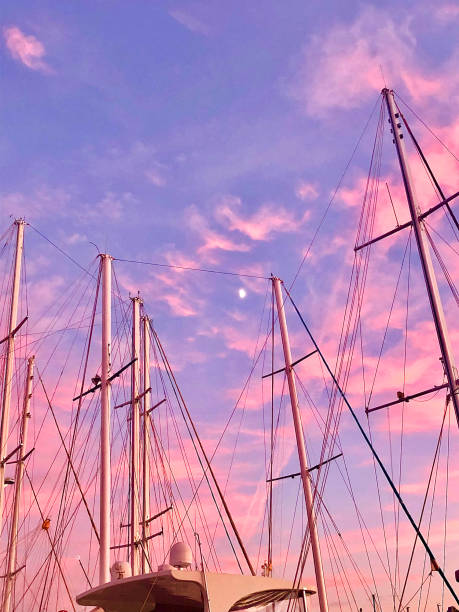 Yacht masts in harbor at sunset