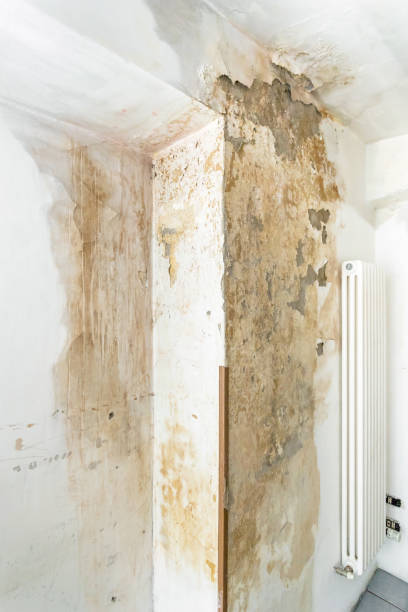 istock Mold fungus on ceiling and wall 1471662882